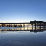 Council Presses for Investigation Into Conduct of Pier Company News