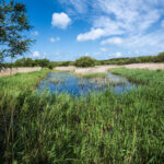 Standing Upfor Nature! Community