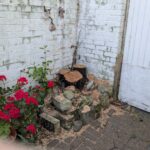 Bay Snatch in the Old Town: Who Dunnit and Why? News