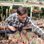 Events at Alexandra Park Greenhouse Spotlight