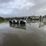 Pell Mell to Save Bexhill Health and Environment