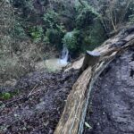 Falling through the Cracks in St Leonards News