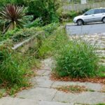 Vexatious Vegetation Community