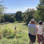 Protect Our Green Spaces News