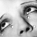 HIP REVIEW: The Eyes Have It Literature