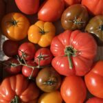 Love Food, Hate Waste – Tips from the Experts Food & Drink