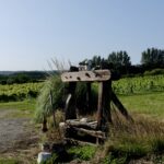 Carr Taylor – Wine Pioneers Who Ran Out of Road News