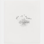 Hastings Contemporary: Environment, Observation, Protest Arts