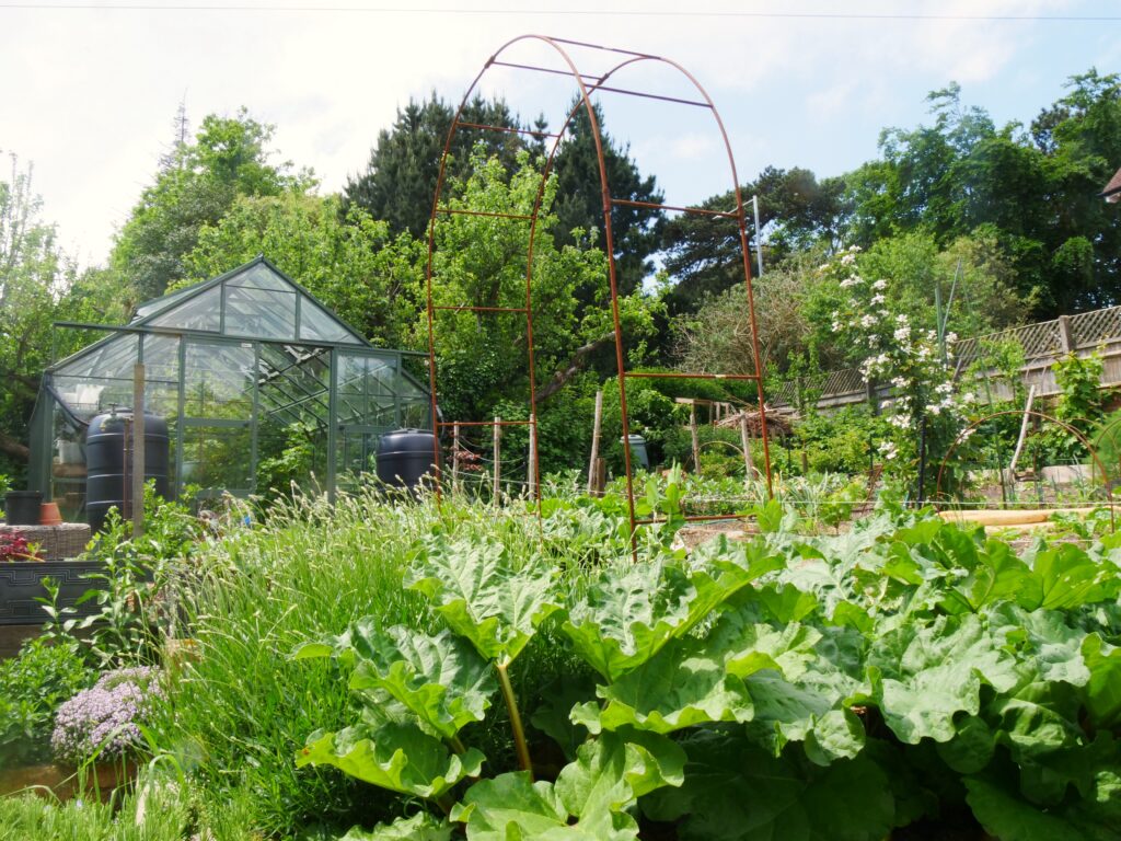 The current image has no alternative text. The file name is: COMMUNITY-The-Knowle-scaled.jpg