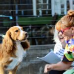 Wacky Dog Show at the Pumphouse