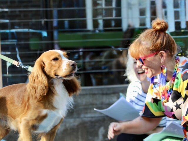 Wacky Dog Show at the Pumphouse